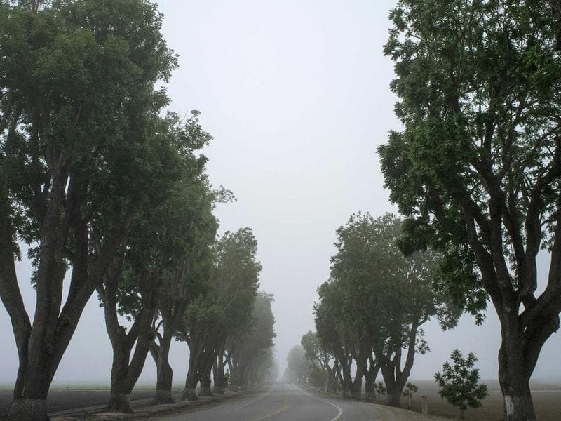 Aliquam egestas mi in urna blandit, quis viverra justo condimentum. 